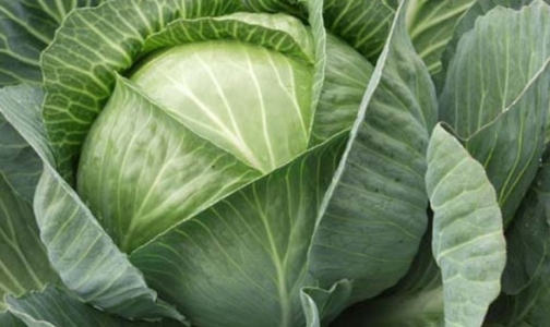 Чем отечественная продукция лучше импортной