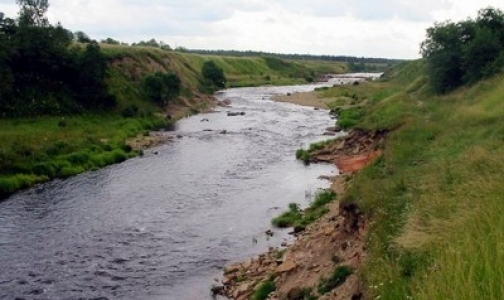 В реку Тосна попали неизвестные химикаты