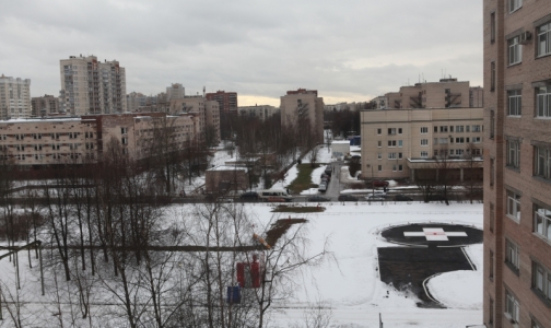 Росздравнадзор проверит Елизаветинскую больницу после смерти пациентки