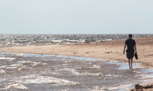 В Петербурге пригодной для купания признали воду на пяти пляжах