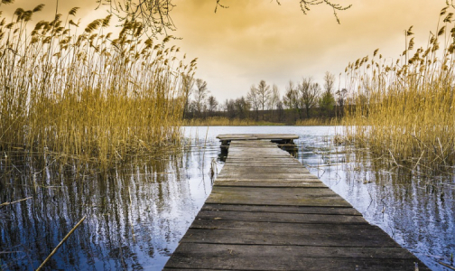 В Петербурге нет пригодных для купания водоёмов. В Ленобласти их много