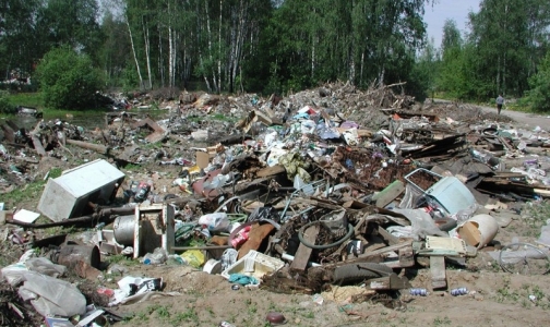 В Петербурге обнаружили новые несанкционированные свалки