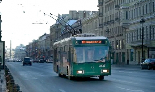 В Петербурге появятся 13 новых «социальных» маршрутов