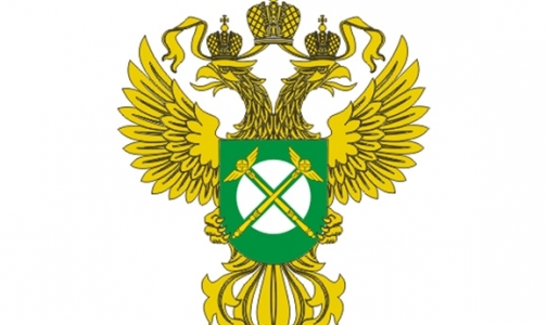 Какие фармкомпании уличили в завышении цен на торгах