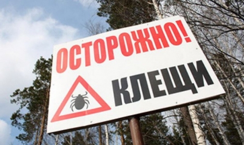 Нет прививки от клещевого энцефалита - нет бесплатного иммуноглобулина?