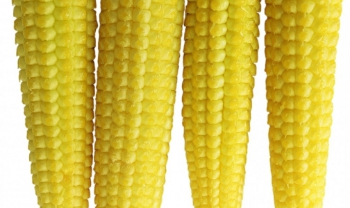 Ученые составили рейтинг самых полезных продуктов для весны