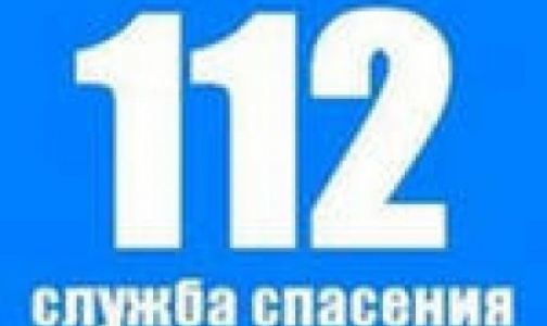 Вызвать «Скорую» по телефону «112» с городского номера в Петербурге можно будет не раньше 2014 года