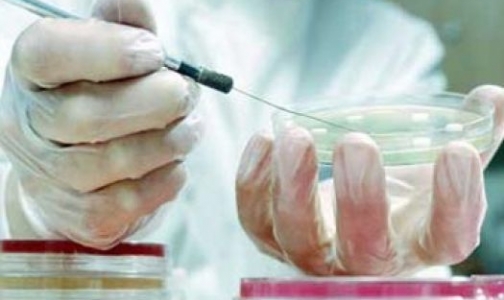 Почему энтеровирус становится агрессивен и очень опасен