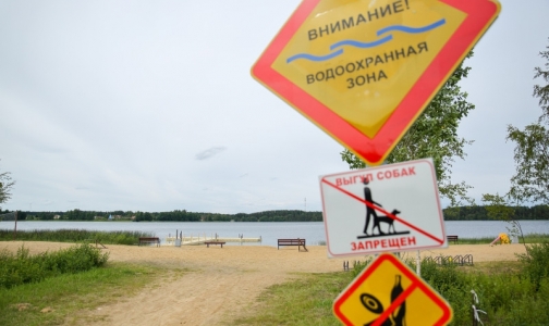 Роспотребнадзор назвал самые чистые из грязных водоемов Петербурга