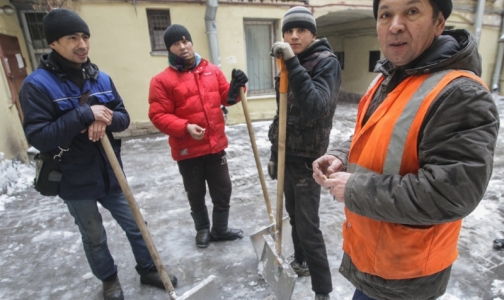 Трудовых мигрантов обязали получать полис ДМС
