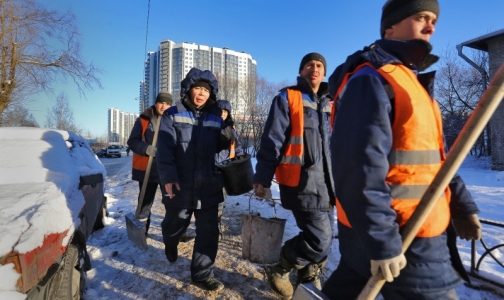 Около одного процента мигрантов приезжают в Петербург с опасными болезнями