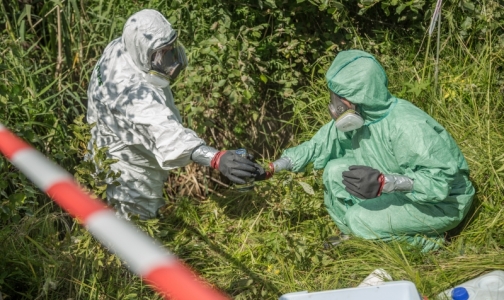 Гринпис: Стоки из «Красного Бора» угрожают здоровью петербуржцев