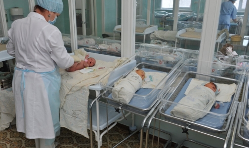 В петербургских роддомах остановлена вакцинация против туберкулеза