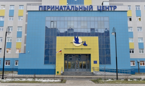В Брянске расследуют гибель 11 новорожденных в новом перинатальном центре