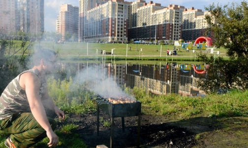 На выходных в НИИ скорой помощи госпитализировали двух «шашлычников»