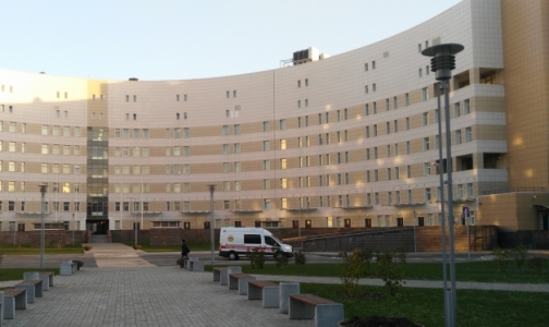 В Петербурге спасают детей, пострадавших от инфекции в Грузии. Роспотребнадзор интересуется эпидситуацией в стране