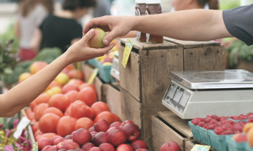 Россельхознадзор устал находить в китайских продуктах переносчиков заболеваний