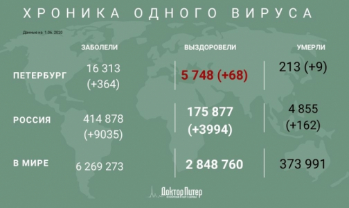 Число заразившихся коронавирусом петербуржцев превысило 16 тысяч
