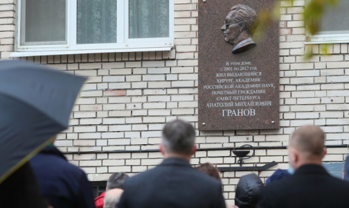 В Петербурге установили мемориальную доску в честь известного хирурга Анатолия Гранова