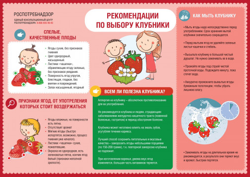 Ягодный сезон: эксперты рассказали, кому нельзя есть клубнику