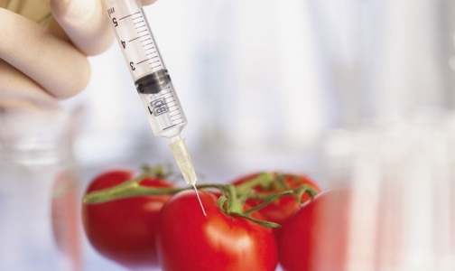 Депутаты хотят ограничить использование продуктов с ГМО