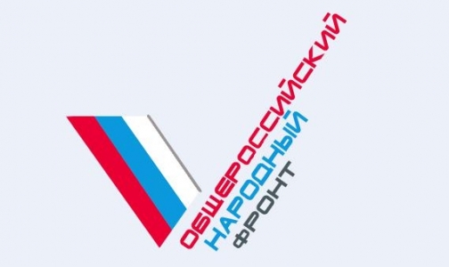 Сергей Багненко возглавил оргкомитет Общероссийского народного фронта в Петербурге