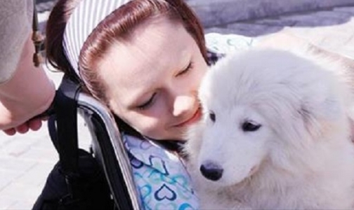 К Новому Году петербуржцы могут исполнить мечты тяжело больных детей