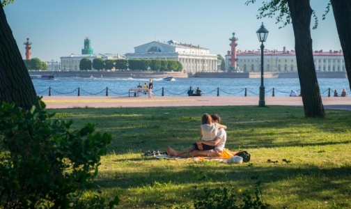 В четырех районах Петербурга можно не бояться встречи с клещом