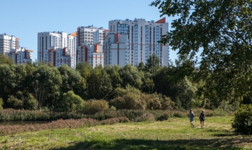 В Петербурге зарегистрированы первые случаи клещевого энцефалита
