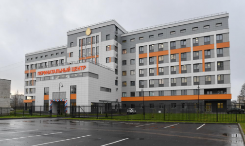 В Гатчине открыли перинатальный центр