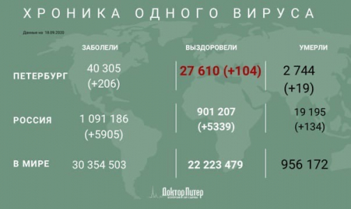 За сутки у 206 петербуржцев выявили коронавирусную инфекцию